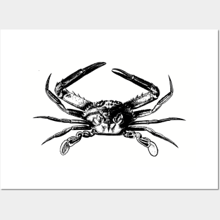 Crab Posters and Art